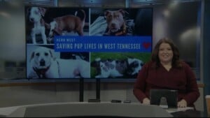 Pet Of The Week June And Jennings