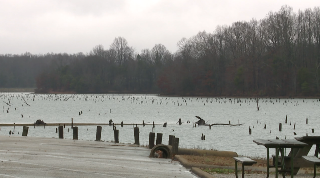 Twra Releases Trout Into Local Waters 1