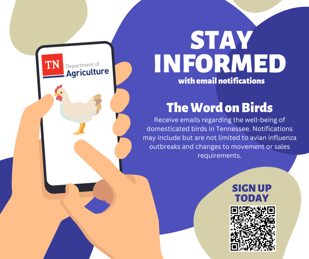 Tda Word On Birds
