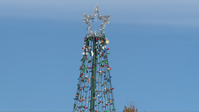 Humboldt Christmas Tree