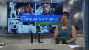 Pet Of Week Tucker