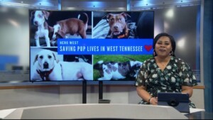 Pet Of The Week Tucker
