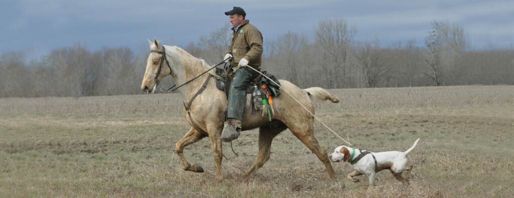 329580656 850962362668091 2762453881094101040 N