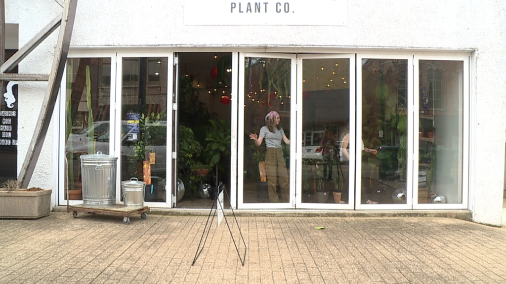 Grounded Plant Company 1