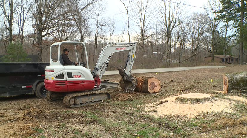 How To Prep Your Lawn For Severe Weather
