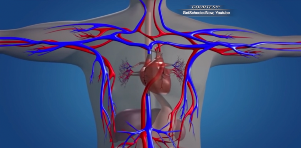 Hypertrophic Cardiomyopathy