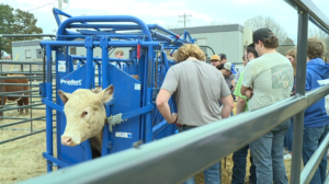 Governor Visits Local Tcat 3