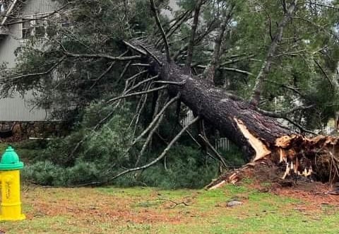 Heavy winds