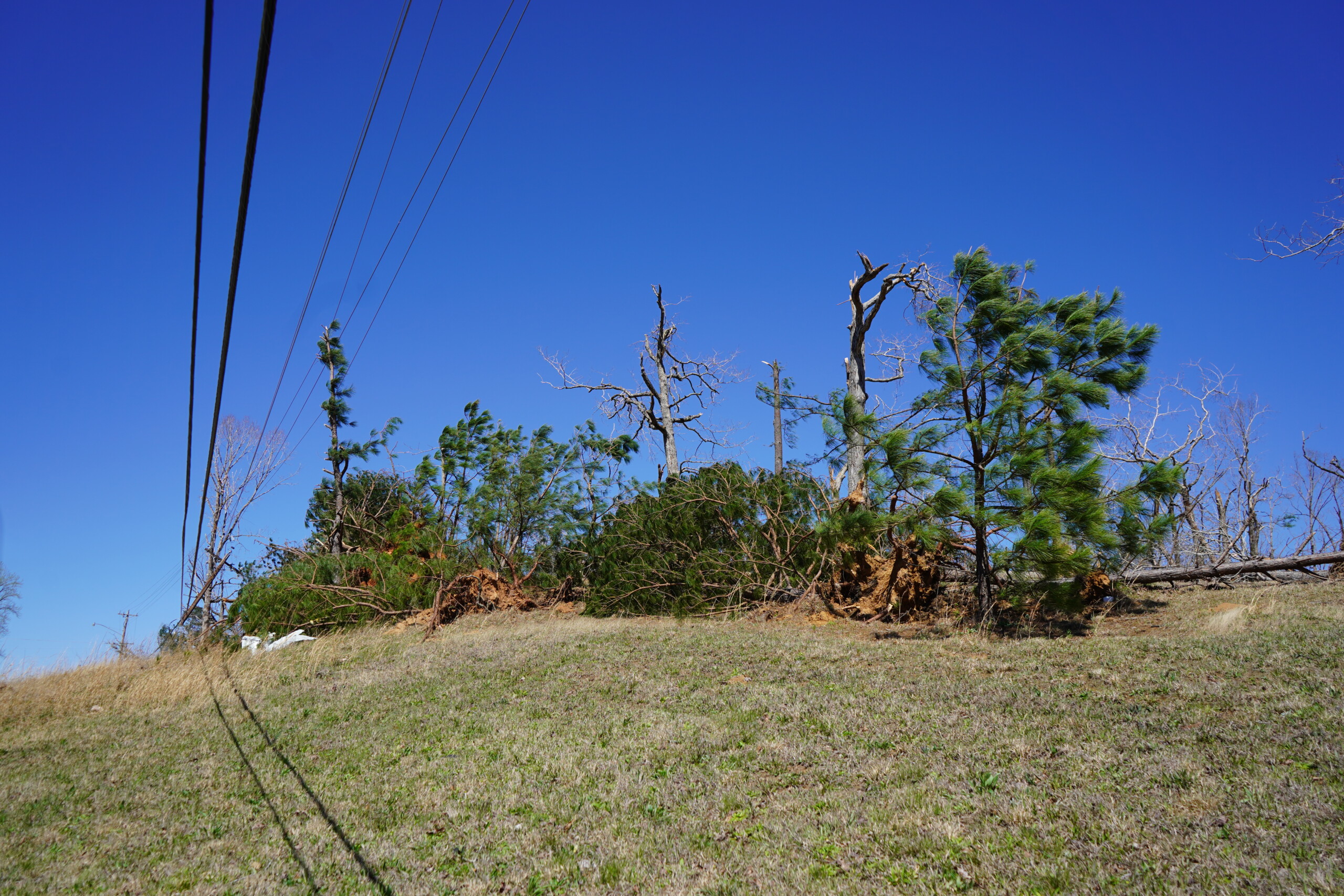 Main Street in Bethel Springs WBBJ TV