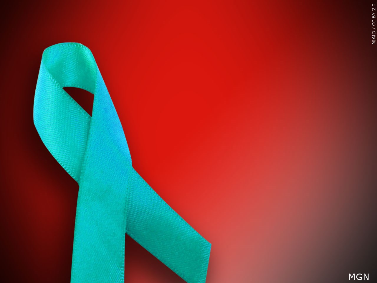 April Declared Sexual Assault Awareness Month In Local County Wbbj Tv 