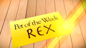 Pet Of Week Rex