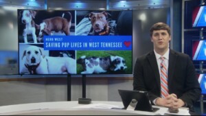 Pet Of The Week Carter
