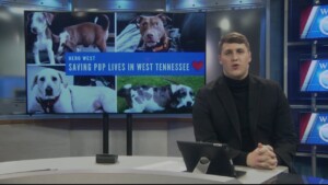 Pet Of The Week Cash