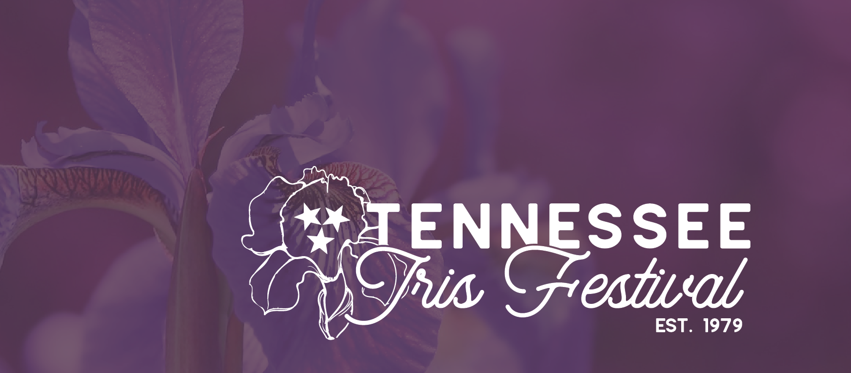 Tennessee Iris Festival WBBJ TV