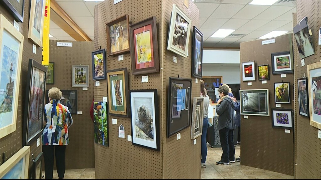 Photo Showcase Vo/sot