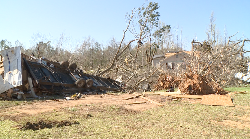 Rose Creek Road In Mcnairy County 3