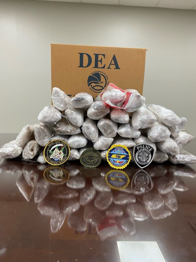 Drug Seizure