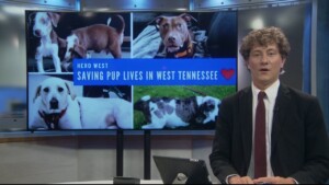 Pet Of The Week Gracie