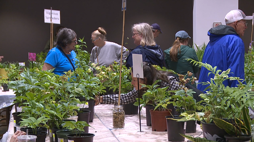 Annual Spring Plant Sale To Continue To Saturday 2