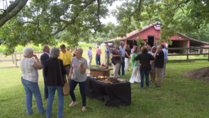 Forty Cannons Winery 5