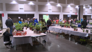 Annual Spring Plant Sale To Continue To Saturday 3