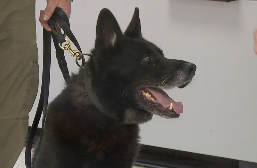 Officer K9 Pax 2