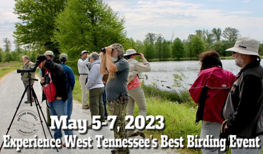 10th Annual Hatchie Birdfest