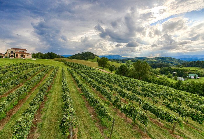 Tennessee Wine Trail connects users to dozens of wineries across the ...