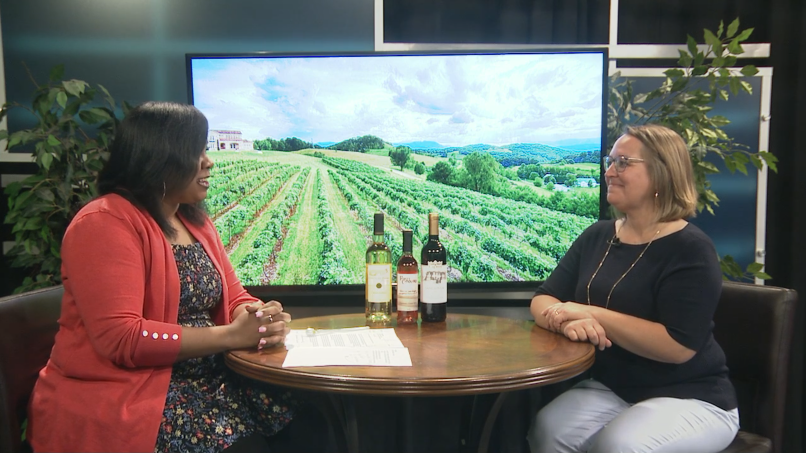 FULL INTERVIEW: Laura Swanson, Director of Tennessee Wines