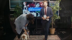 Pet Of The Week Tucker