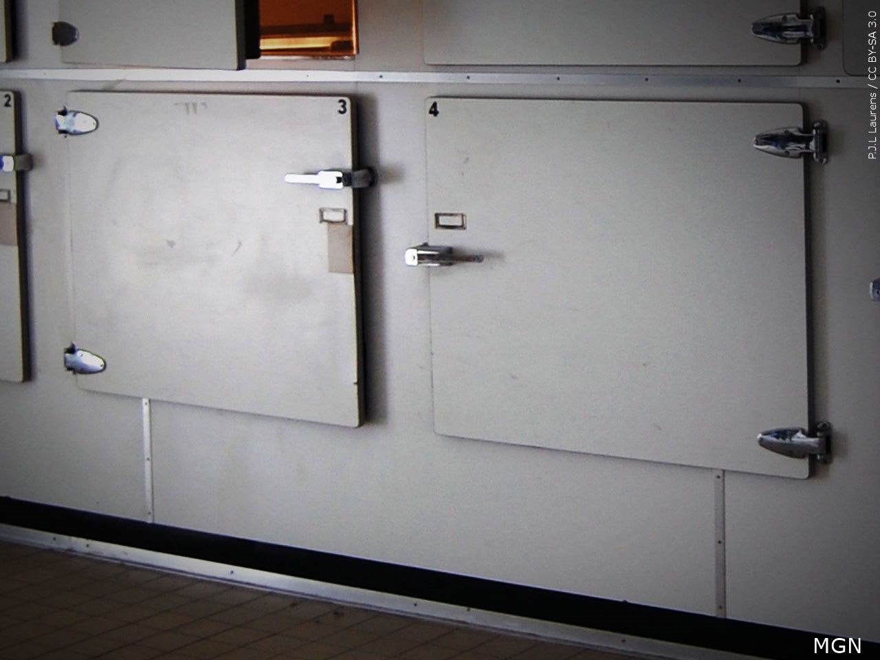 Former Harvard morgue manager stole brains, skin and other body parts
