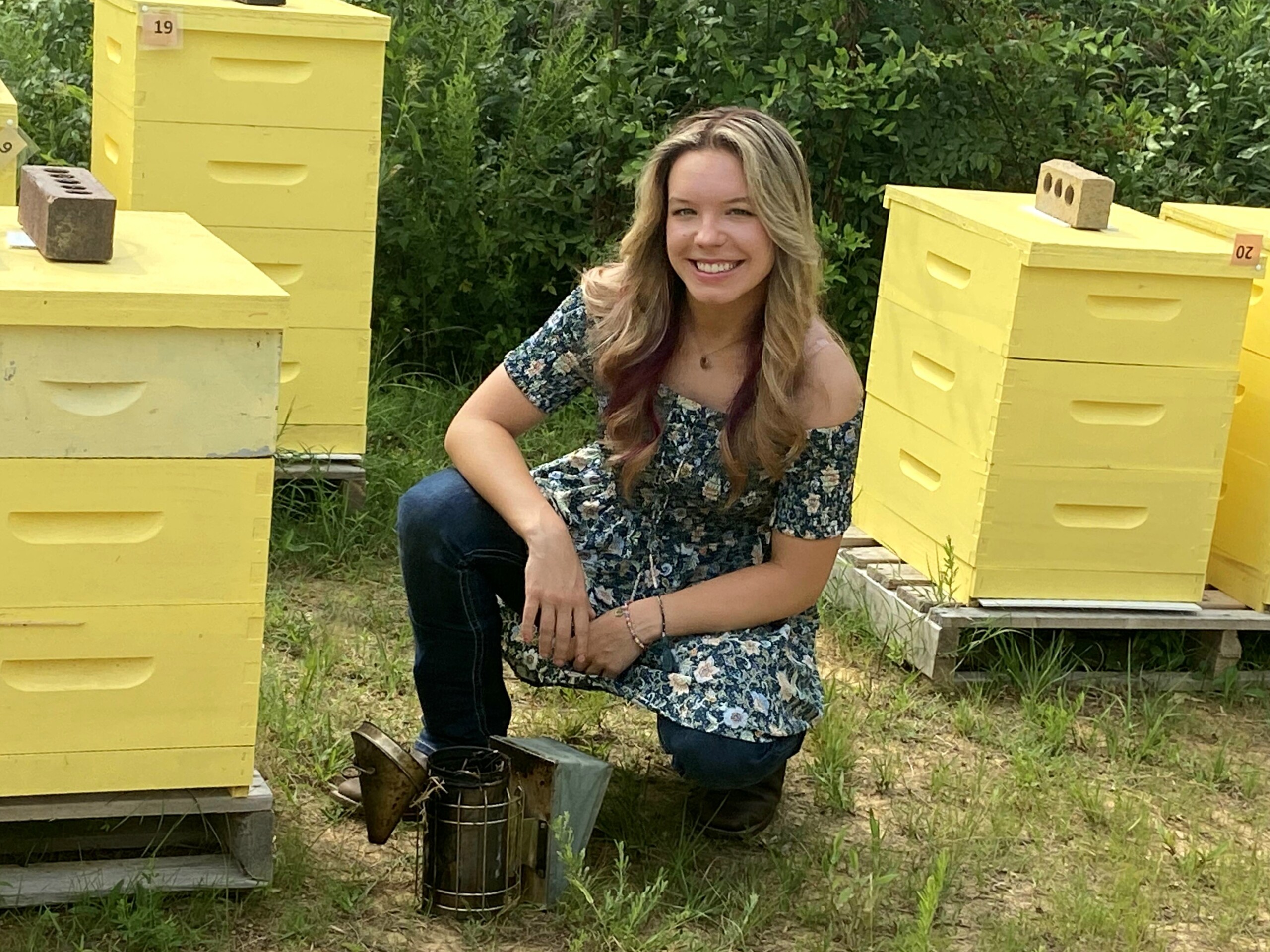 Carroll County Teen Wins National 4 H Beekeeping Essay Contest Wbbj Tv