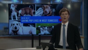 Pet Of The Week Tucker