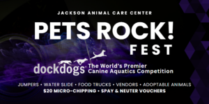 Pets Rock Fest Graphic