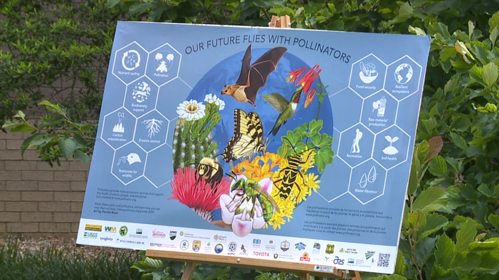 Garden Buzz The Celebration Of Pollinators 1