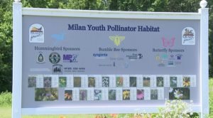 City Of Milan Celebrates National Pollinator Week 1