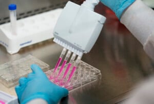 Cancer vaccine