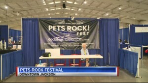 Pet's Rock Pkg