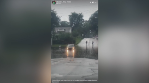 Jpd Officer Rescues Dogs From Flood Waters 1