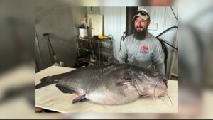 Catfish Record