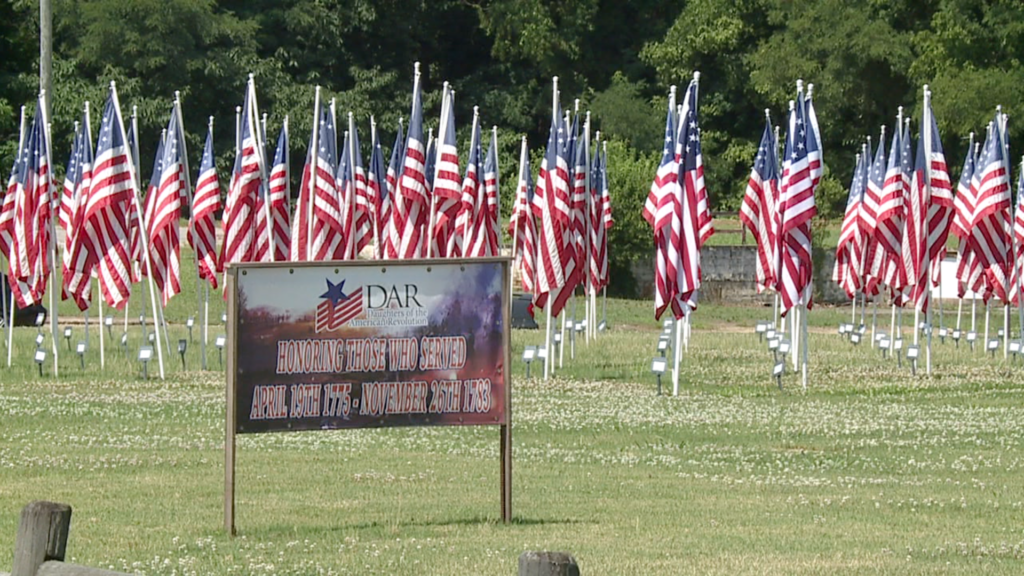 Field of Flags