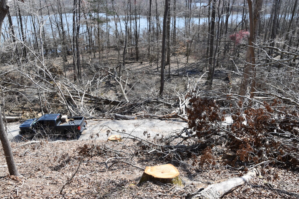 Stumps And Damage On Duck River Unit At Tennessee National Wildlife Refuge Jared Allsbrooks Usfws 1