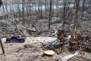 Stumps And Damage On Duck River Unit At Tennessee National Wildlife Refuge Jared Allsbrooks Usfws 1