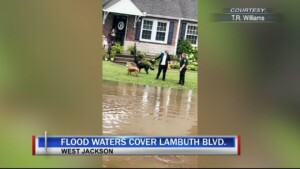 Lambuth & Princeton St Flooding Vo