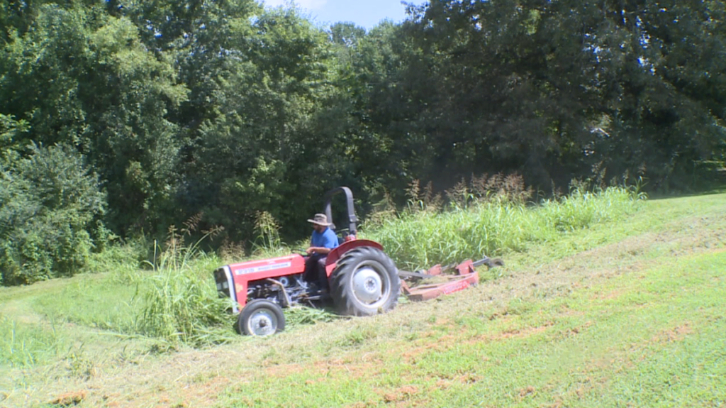 Man On Tractor In The Heat