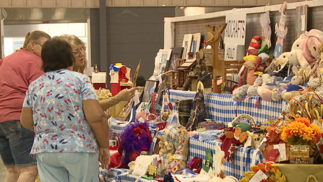 Decatur County Fair 2023 officially opens in Parsons - WBBJ TV