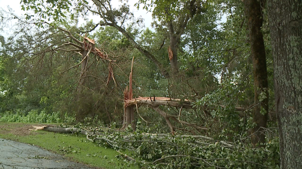 Storm damage in East Madison Co. - WBBJ TV