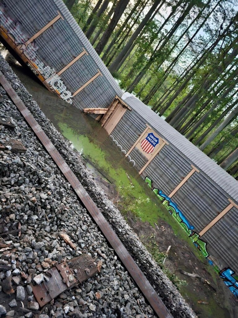 367383532 10160329386604934 3242462707922549002 N