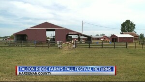 Fall Fest In Toone Pkg