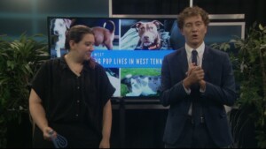 Pet Of The Week Cash